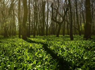 访农户，送手艺！！！ “中国农资”现代农业服务团队助力秋粮生产