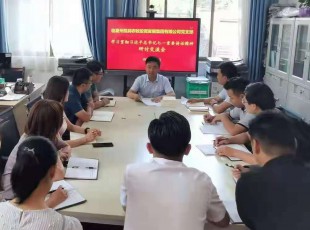 rb88随行版 召开学习贯彻习近平总书记七一主要讲话精神 钻研交流会