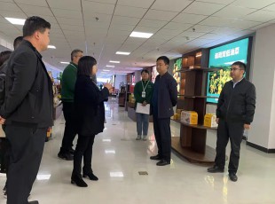 州农投集团在水发农投通道物流公司、、、河州实力公司调研