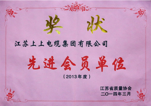 ag亚娱集团集团荣获江苏省质量协会2013年度“先进会员单位”称呼