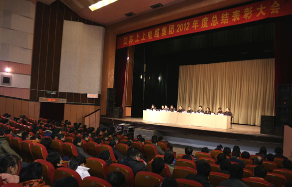 ag亚娱集团盛大召开2012年度总结表扬大会